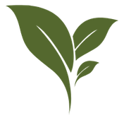 Landscaping services