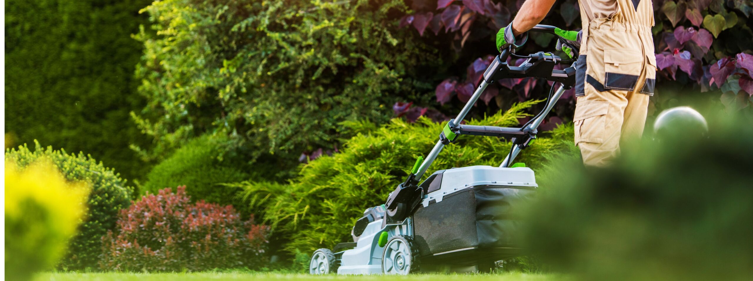 Lawn Care and Property Maintenance