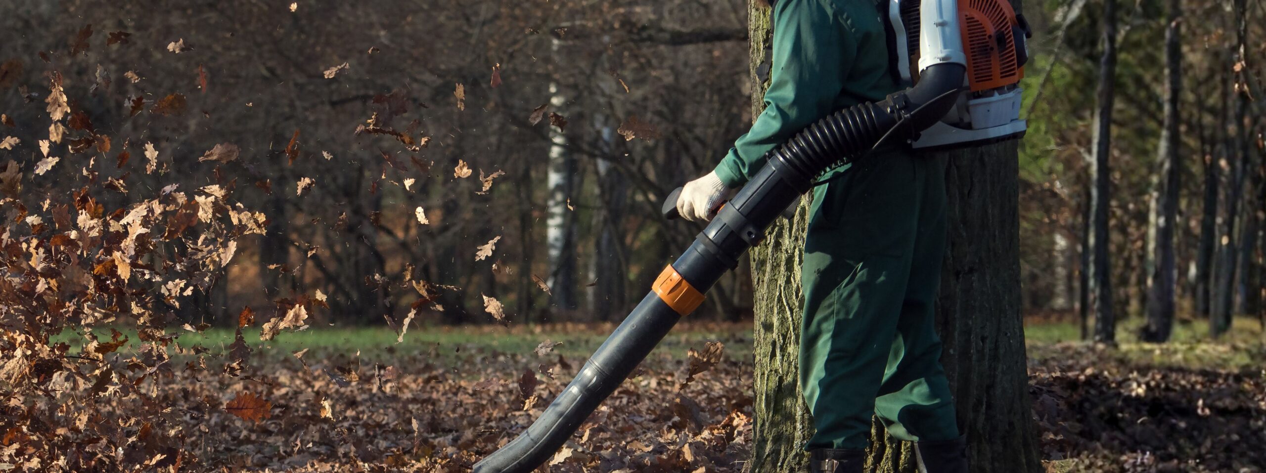 Leaf Removal